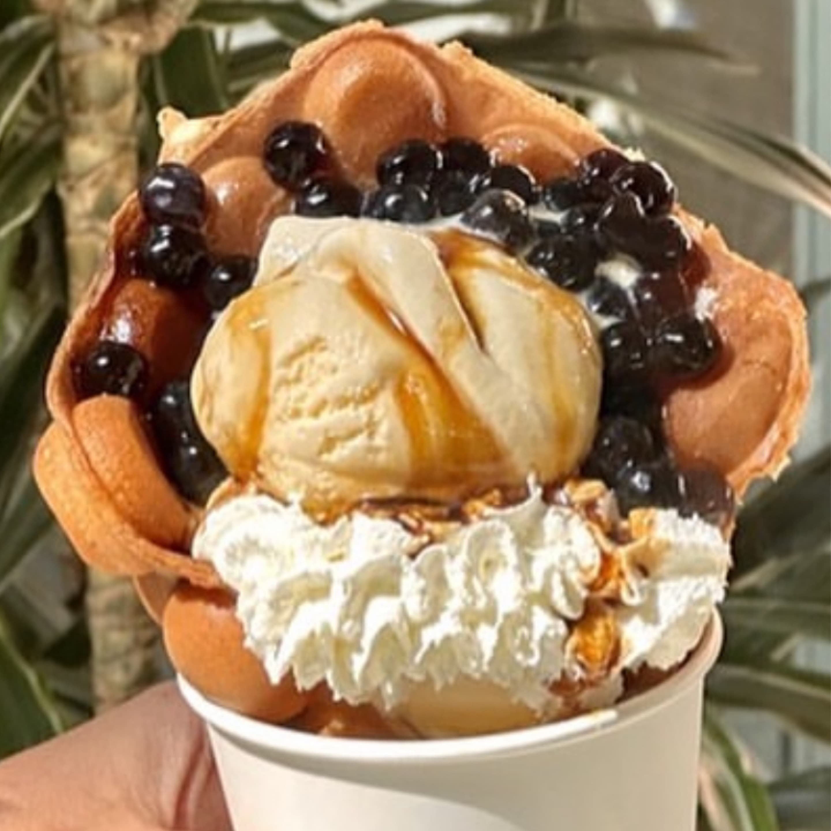 Ice Cream Boba Egg Puff Waffle